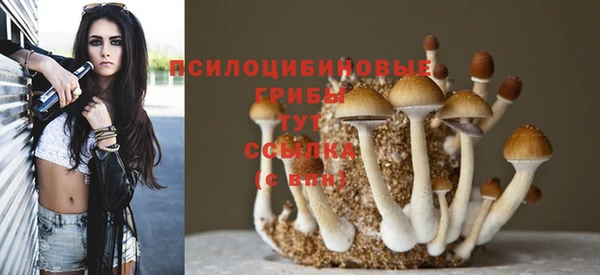 соль курить ск Бронницы