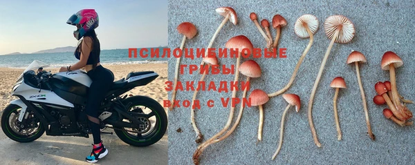 герыч Бородино