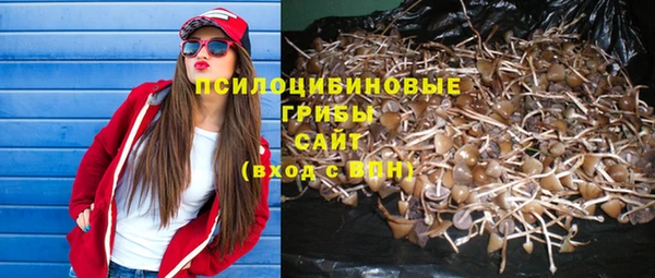 соль курить ск Бронницы