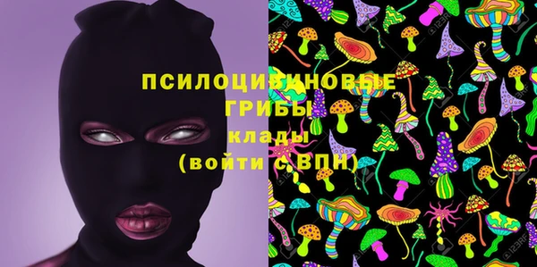 герыч Бородино