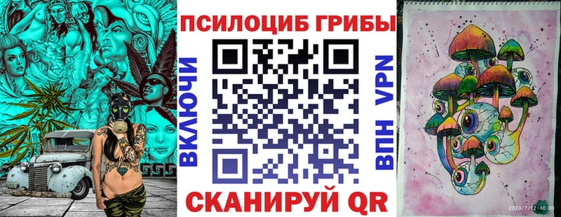 где купить наркоту  Екатеринбург  Галлюциногенные грибы MAGIC MUSHROOMS 